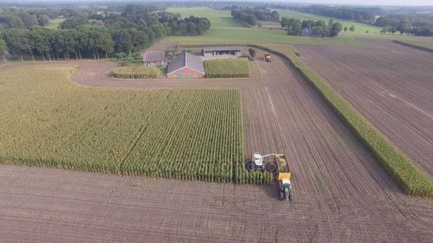 Antenn skott av jordbruket maskin majs hugga, D-log — Stockvideo