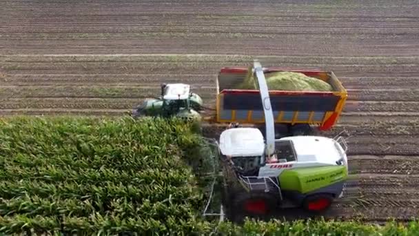 Plano aéreo de la máquina de agricultura de corte de maíz — Vídeos de Stock
