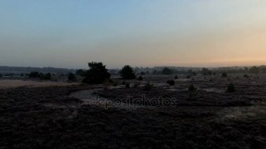 Milli parklarda Hollandalı peyzaj üzerinde günbatımında uçmak