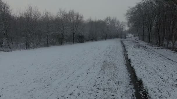 Fotografia aérea da paisagem de inverno holandesa, D-log — Vídeo de Stock