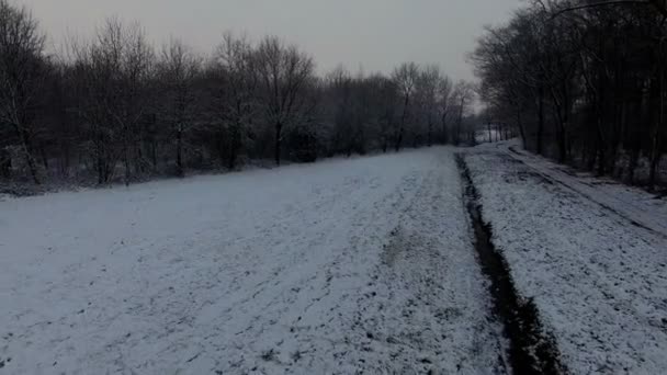 네덜란드의 공중 총 겨울 풍경 — 비디오