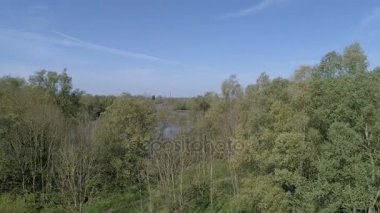 Ijssel River, D-günlük Hollandalı peyzaj üzerinde uçmak