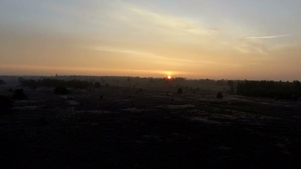 Vliegen over Nederlandse landschap in nationale parken bij zonsondergang — Stockvideo