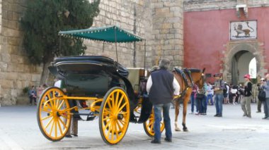 Horsecar Kraliyet Alcazar Sarayı'nda