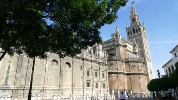 Catedral de Santa María de la Sede — Vídeo de stock