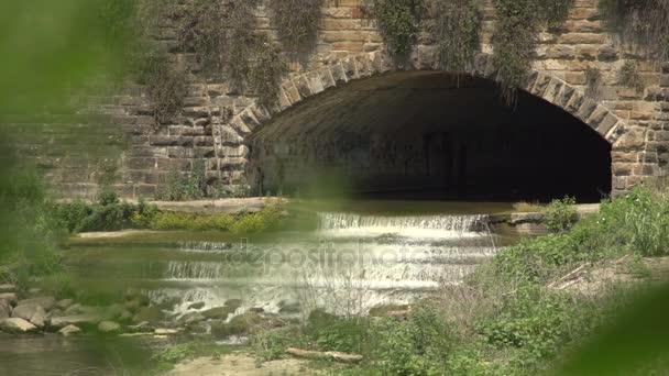 Вид на річку Арно — стокове відео
