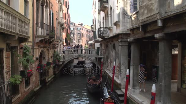 Pont bondé à travers le canal de Venise — Video