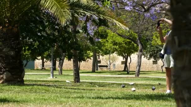 Hombre tomando fotos en el parque — Vídeo de stock