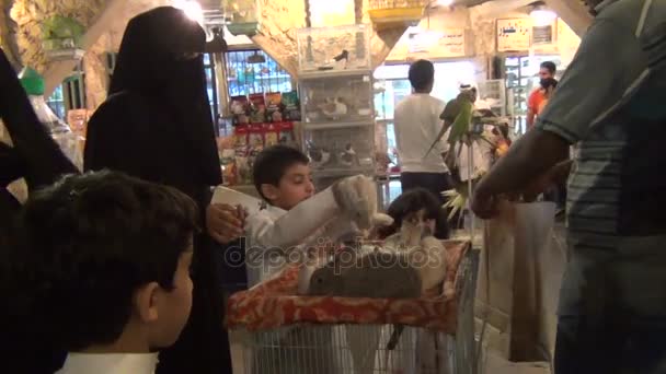 Niño comprando conejo — Vídeos de Stock