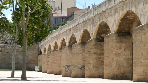 Мост через Турийский сад — стоковое видео