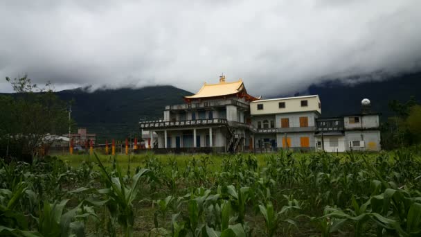 Temple with banana trees — Stock Video