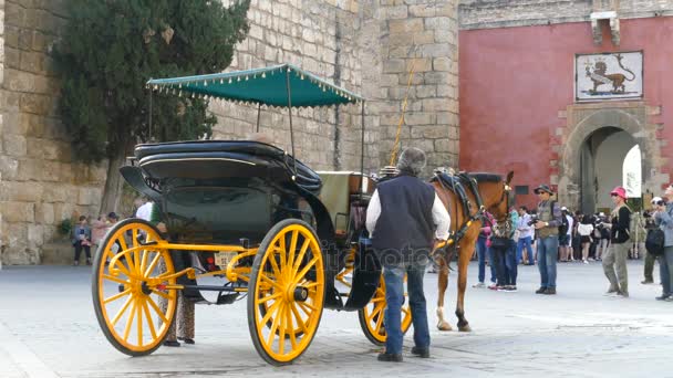 Horsecar Kraliyet Alcazar Sarayı'nda — Stok video