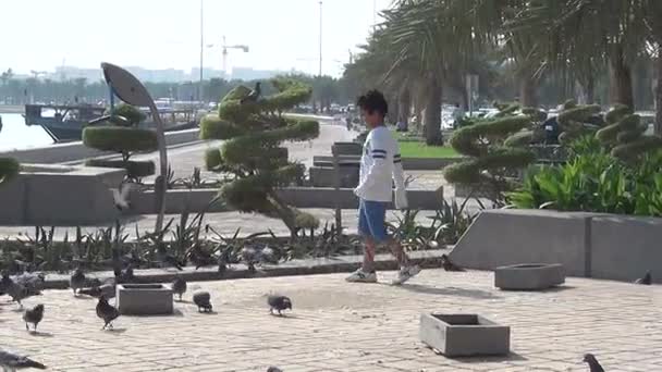 Garçon jouer avec des pigeons — Video