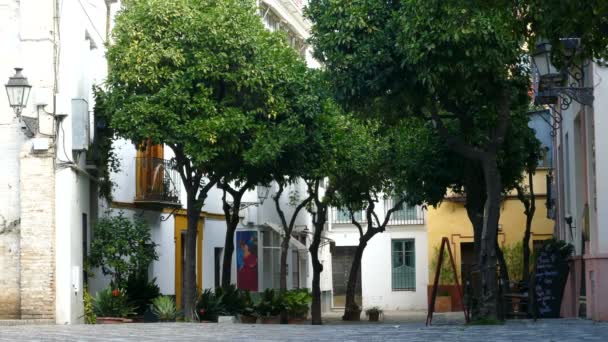 Picturesque street in Seville — Stock Video