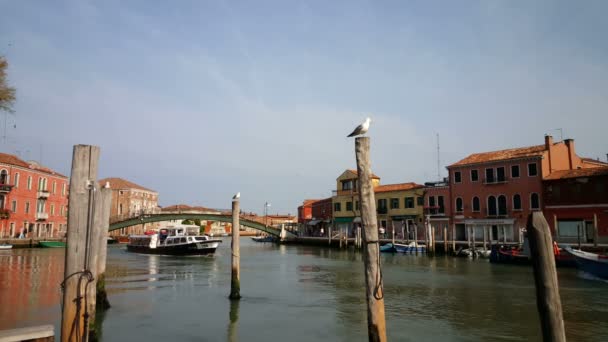 Brücke und Kanal in Murano — Stockvideo