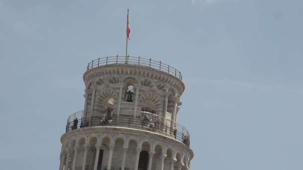 Menara condong dari pisa — Stok Video