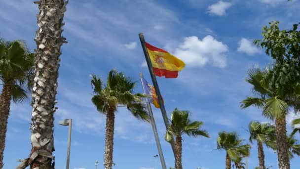 Spanish and Valencia flags waving at sky — Stock Video