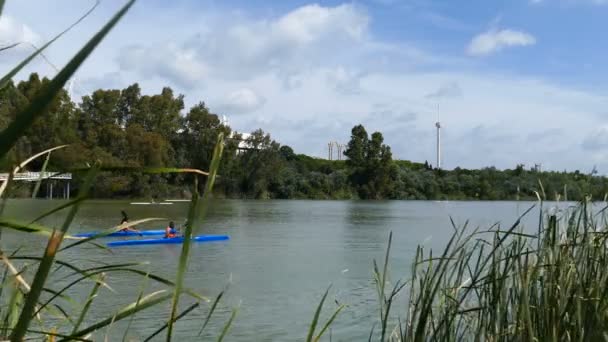 Kanoter över canal Alfonso Xiii — Stockvideo