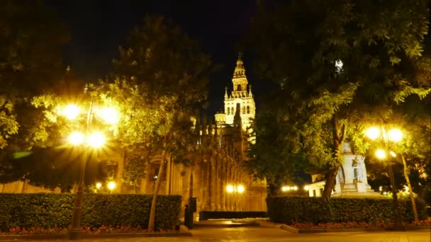 Katedra Najświętszej Maryi Panny z patrz w nocy — Wideo stockowe