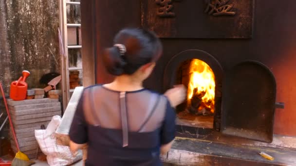 Vrouw ghost geld te gooien in de oven — Stockvideo