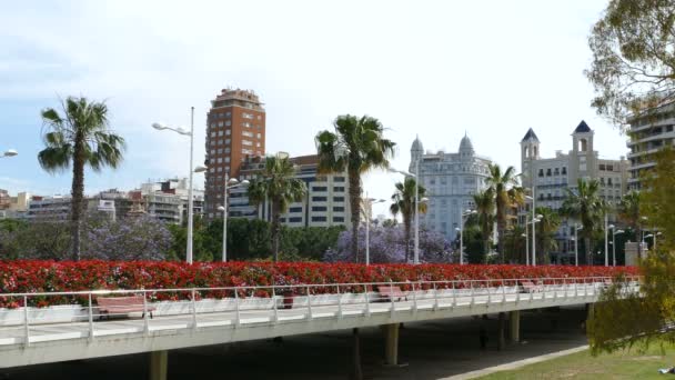 Puente de flores en el jardín de Turia — Vídeo de stock