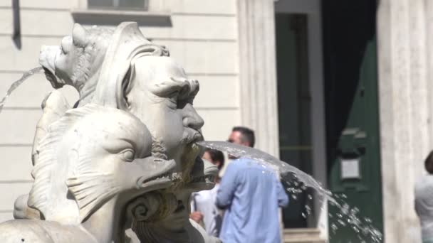 Brunnen auf der Piazza navona — Stockvideo