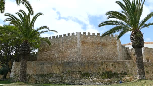 Governors Castle wall — Stock Video