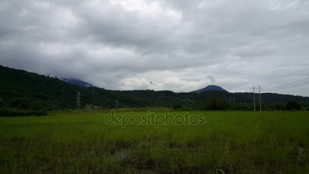 논을 산 앞 — 비디오