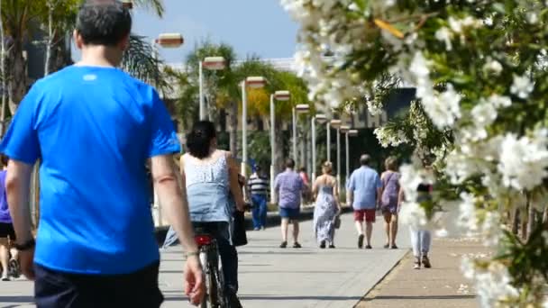 Gente caminando por el bulevar — Vídeos de Stock