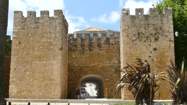 Gobernadores Castillo vista — Vídeos de Stock