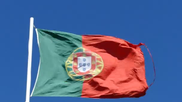 Bandera Nacional de Portugal — Vídeo de stock