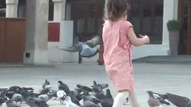 Malá dívka si hraje s holuby — Stock video