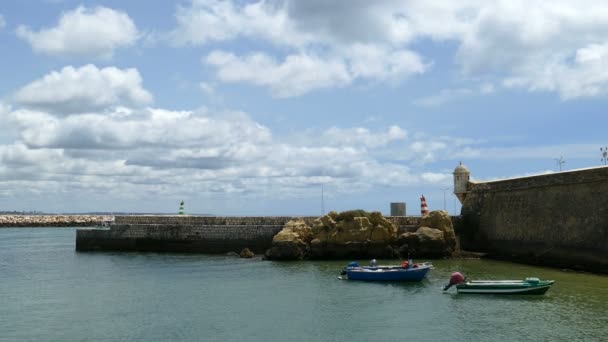 Forte da ponta da bandeira — Vídeo de Stock