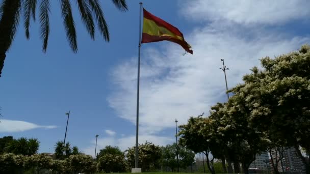 İspanyol bayrağı sallayarak gökyüzüne — Stok video