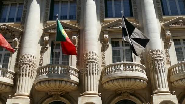 Nationale vlag van portugal — Stockvideo