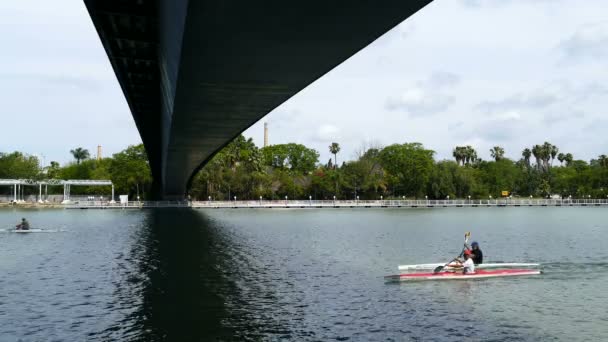 Canoas pasando por debajo del puente — Vídeos de Stock