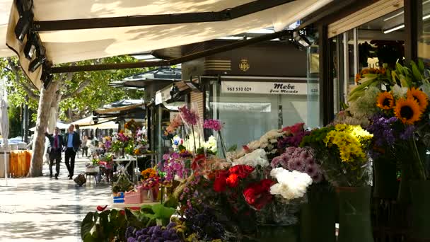 Flowershops на Ajuntament площі — стокове відео