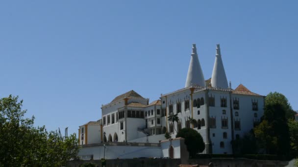 Bellissimo Palazzo di Sintra — Video Stock