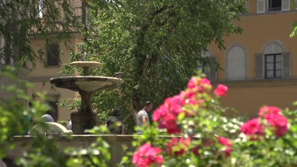 Fontaine sur la place Santo Spirito — Video