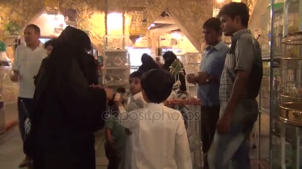 Animalerie en souq Waqif — Video