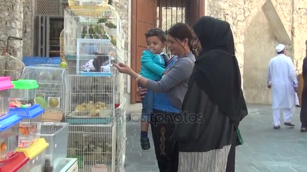 Mujer observando en tienda de aves — Vídeo de stock