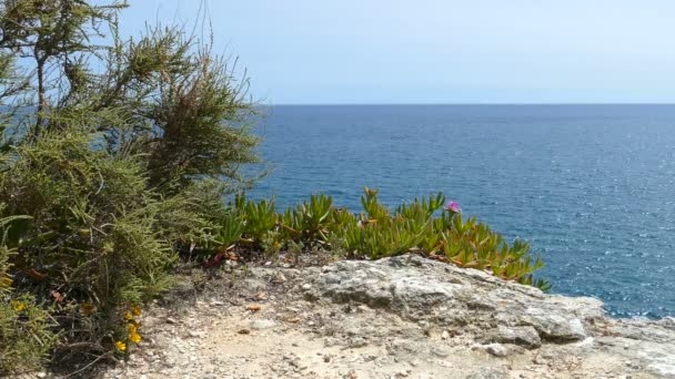 Blick auf die Küste von Carvoeiro — Stockvideo