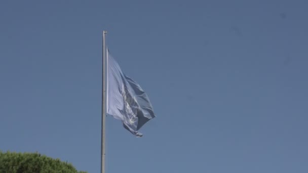 Флаг ООН — стоковое видео