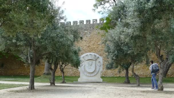 Muro del castello del governatore — Video Stock