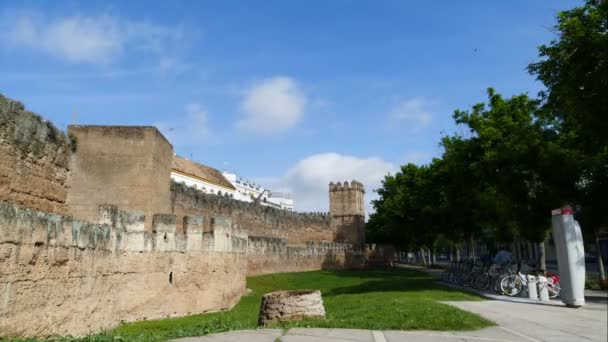 Murs de la vieille forteresse — Video