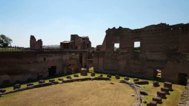 Palatino, Palatine Tepesi 