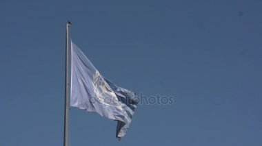 Birleşmiş Milletler bayrağı