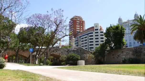 Ponte no jardim Turia em Valência — Vídeo de Stock