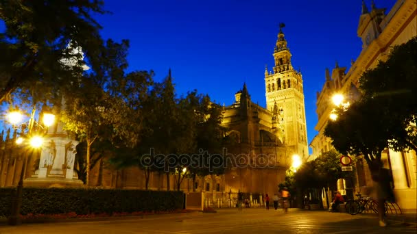 Cattedrale di Santa Maria della Sede di notte — Video Stock