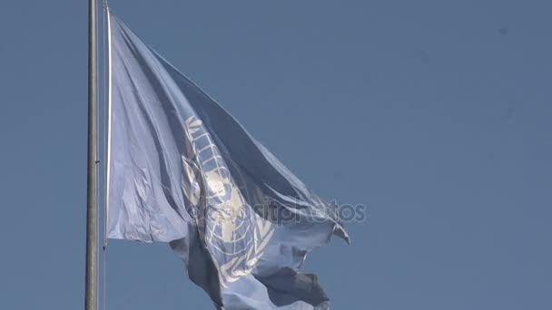 Bandera de las Naciones Unidas ondeando en el cielo — Vídeos de Stock